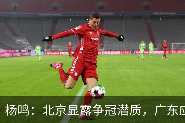 杨鸣：北京显露争冠潜质，广东应尽快联系莫兰德
